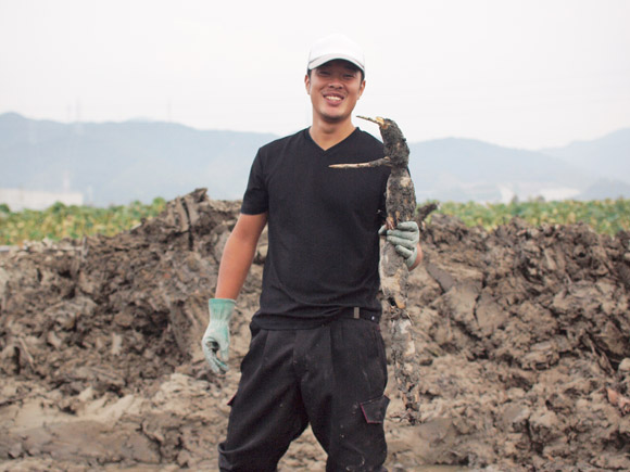 徳島産蓮根水煮ちらし100g 